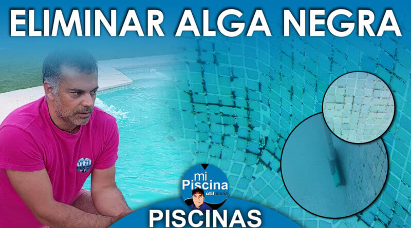 COMO ELIMINAR ALGA NEGRA PISCINA